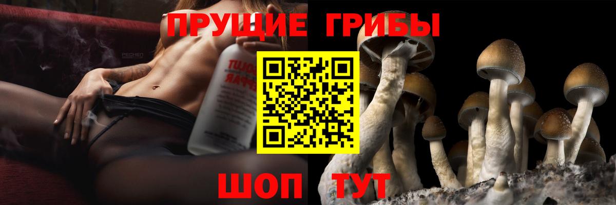 Галлюциногенные грибы MAGIC MUSHROOMS  Вход с VPN  Коломна 